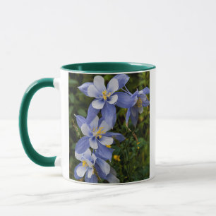 Mug Ancolie bleue du Colorado près de Telluride Colora