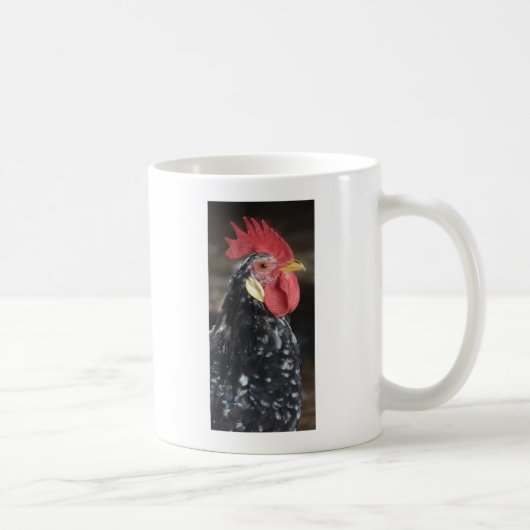 Mug Ancona Roo (Droite)