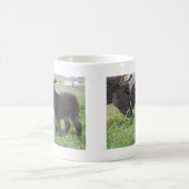 Mug âne (Centre)