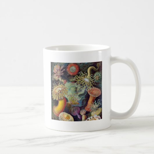 Mug Anémone de mer Nature scientifique Océan (Droite)