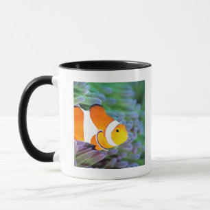 Mug Anemonefish de clown