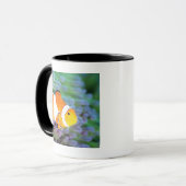 Mug Anemonefish de clown (Devant gauche)