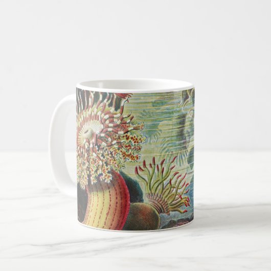 Mug Anémones de mer, Actiniae Seeanemonen Ernst Haecke (Devant gauche)