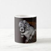 Mug Anglais Setter Puppy (Centre)