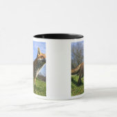Mug Angleterre, Angleterre. Red Fox Vulpes vulpes) en (Centre)