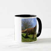 Mug Angleterre, Angleterre. Red Fox Vulpes vulpes) en (Devant droit)