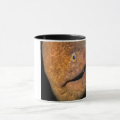 Mug Anguille de Moray (Centre)