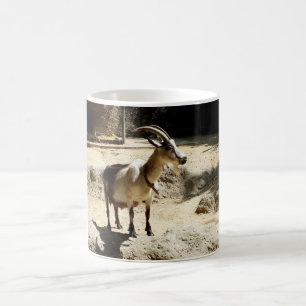 Mug Animal de chèvre