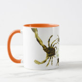 Mug Animaux amusants Crabes Abstraits et piscines de p (Gauche)