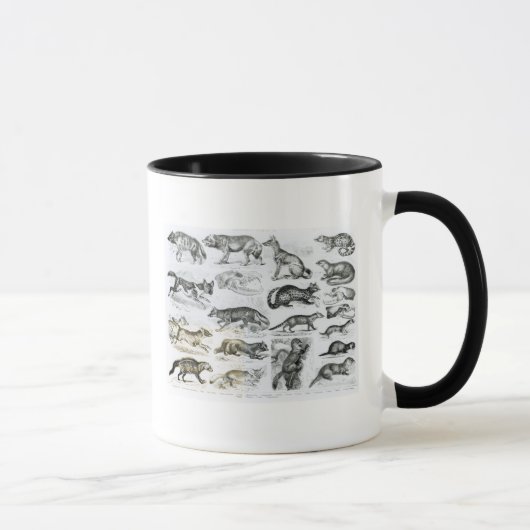 Mug Animaux carnivores (Droite)