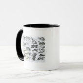 Mug Animaux carnivores (Devant gauche)