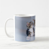Mug Animaux de bébés cutest | 3 Tabby Kittens (Gauche)