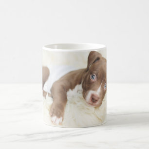 Mug Animaux de bébés cutest   Baby Pit Bull Puppy