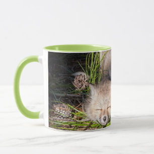 Mug Animaux de bébés cutest Baby Red Fox Kits Sleepi