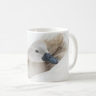 Mug Animaux de bébés cutest   Bébé Mute Swan