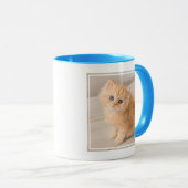 Mug Animaux de bébés cutest | British Longhair Kitten (Devant droit)