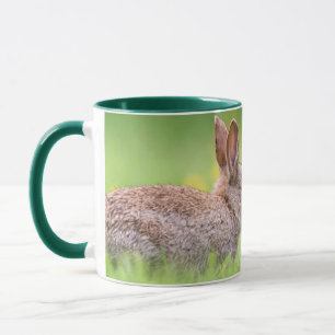 Mug Animaux de bébés cutest   Bunny Kiss