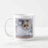 Mug Animaux de bébés cutest | Calico Persian Kitten (Gauche)
