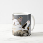Mug Animaux de bébés cutest | Chat dans le lit (Devant droit)