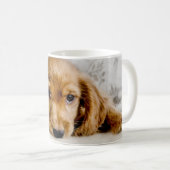 Mug Animaux de bébés cutest | Cocker Spaniel (Devant droit)