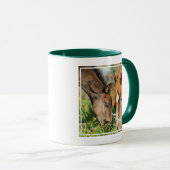 Mug Animaux de bébés cutest | Colt à cheval (Devant droit)