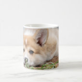 Mug Animaux de bébés cutest | Corgi Laying in the Yard (Centre)
