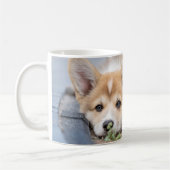 Mug Animaux de bébés cutest | Corgi Laying in the Yard (Gauche)