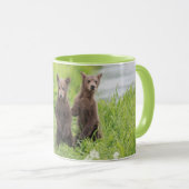 Mug Animaux de bébés cutest | Cubes d'ours Brown Kamch (Devant droit)