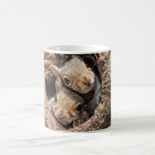 Mug Animaux de bébés cutest   Deux jeunes écureuils