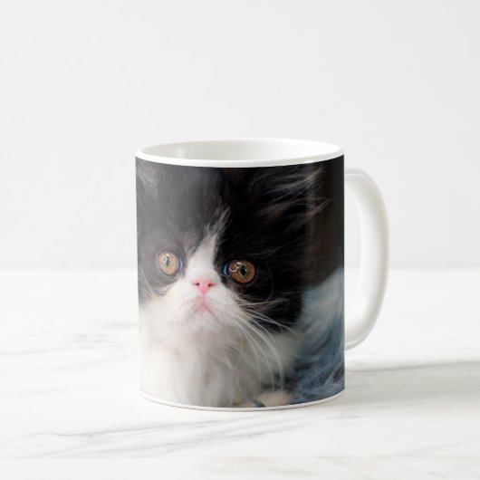 Mug Animaux de bébés cutest | Fluffy B&W Kitten (Devant droit)