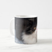 Mug Animaux de bébés cutest | Fluffy B&W Kitten (Devant gauche)