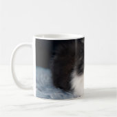Mug Animaux de bébés cutest | Fluffy B&W Kitten (Gauche)