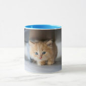 Mug Animaux de bébés cutest | Fluffy Orange Kitten (Centre)