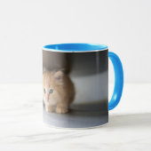Mug Animaux de bébés cutest | Fluffy Orange Kitten (Devant droit)