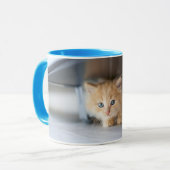 Mug Animaux de bébés cutest | Fluffy Orange Kitten (Devant gauche)