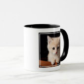 Mug Animaux de bébés cutest | Ginger Kitten (Devant droit)