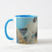 Mug Animaux de bébés cutest | Himalaya Seal Point Cat (Gauche)