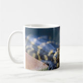 Mug Animaux de bébés cutest | Jeune alligator (Gauche)