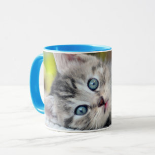 Mug Animaux de bébés cutest   Kitten aux yeux bleus