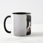 Mug Animaux de bébés cutest | Kitten noir et blanc (Gauche)