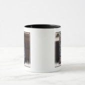 Mug Animaux de bébés cutest | Kitten sur Touches de pi (Centre)