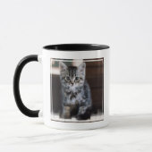 Mug Animaux de bébés cutest | Kitten sur Touches de pi (Gauche)