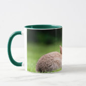 Mug Animaux de bébés cutest | Lapins de lapin sauvage (Gauche)
