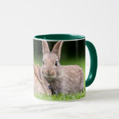 Mug Animaux de bébés cutest | Lapins de lapin sauvage (Devant droit)