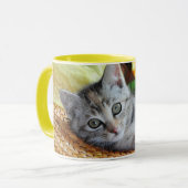 Mug Animaux de bébés cutest | Lounge Kitten (Devant gauche)