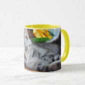 Mug Animaux de bébés cutest | Lounge Kitten (Devant droit)