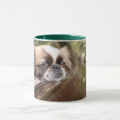 Mug Animaux de bébés cutest | Pekingese Chiot en voitu (Centre)
