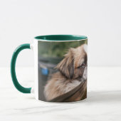 Mug Animaux de bébés cutest | Pekingese Chiot en voitu (Gauche)