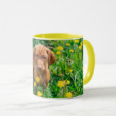Mug Animaux de bébés cutest | Pointeur (Devant droit)