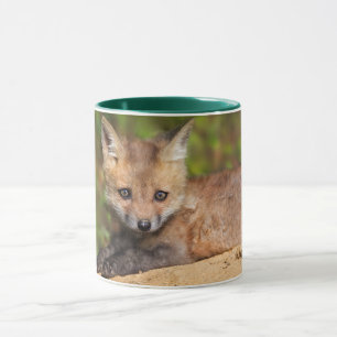 Mug Animaux de bébés cutest Red Fox Pup